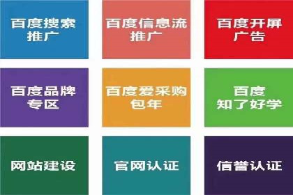 某品牌SEM代运营的成长历程与启示